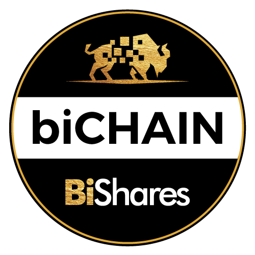 Chain Fund biChain